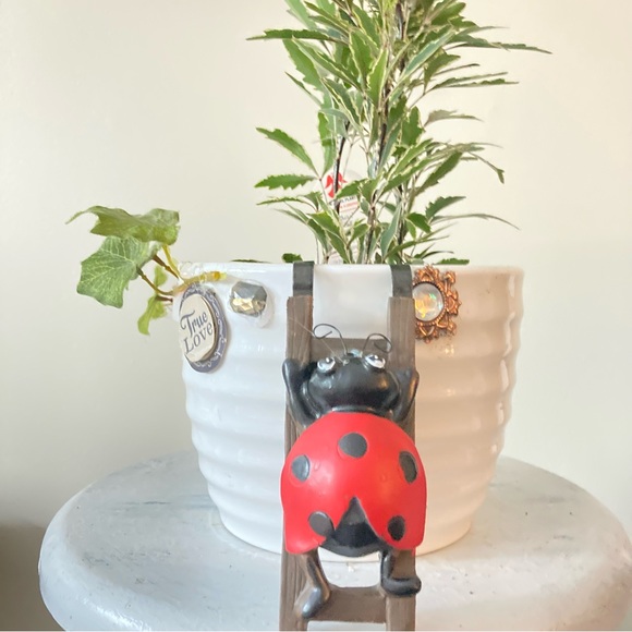 Flower pot hugger ladybug - Picture 2 of 11